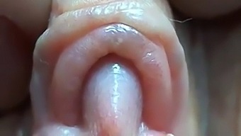Intense Focus On A Girl'S Masturbation Session