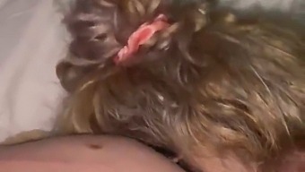I Apologize, Can I Give You A Blowjob?