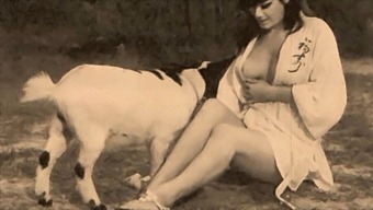 Classic Retro Video Featuring Taboo Sexual Acts With A Dog